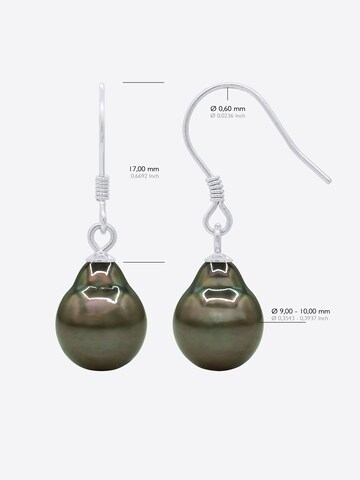 Ateliers Saint Germain Earrings 'Nakamo' in Silver