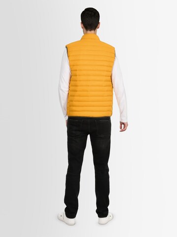 U.S. POLO ASSN. Vest in Yellow