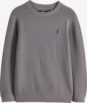 Next - Jersey en gris: frente