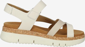 PIKOLINOS Strap Sandals in Beige