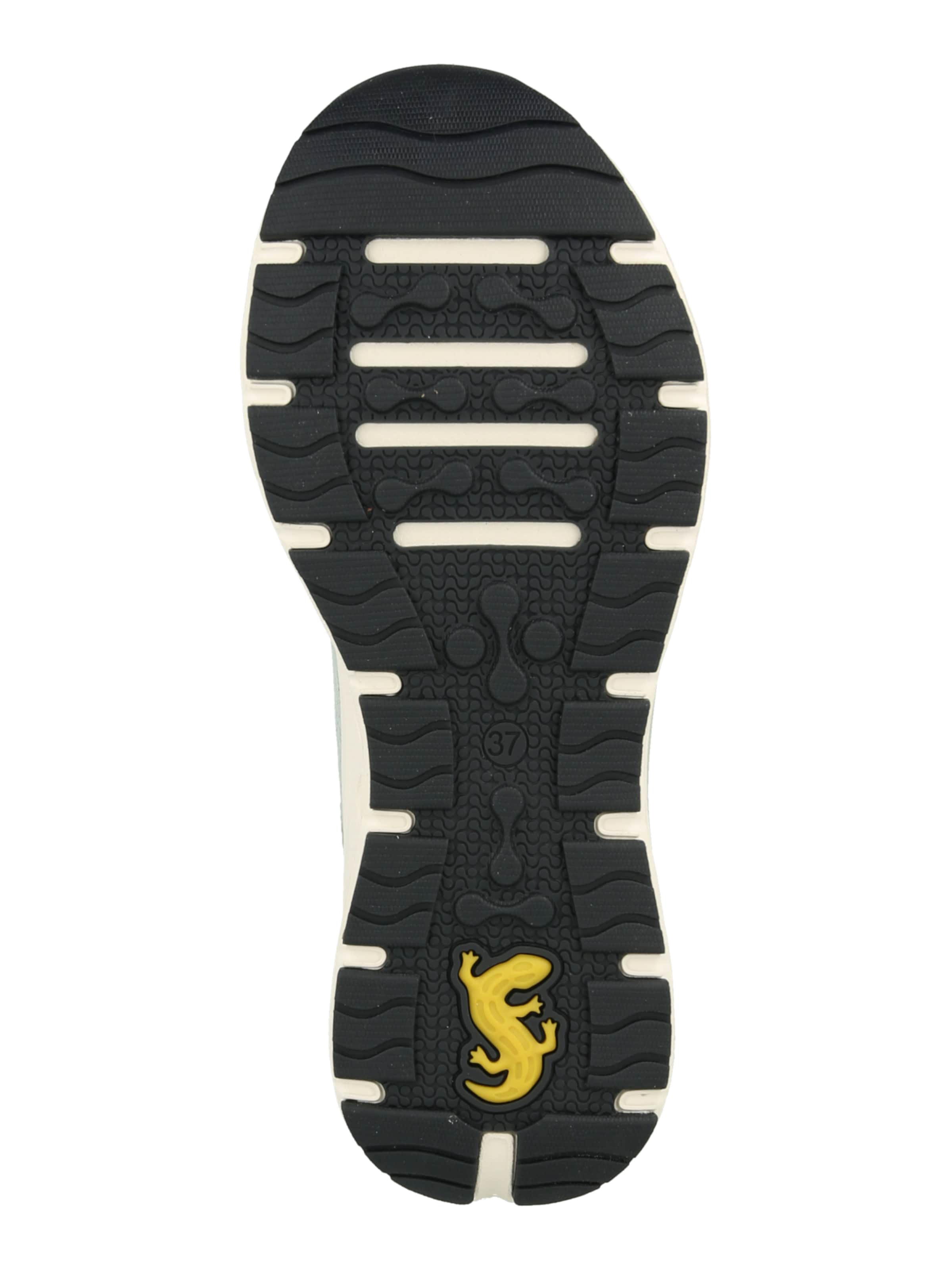 SALAMANDER - Sapatilhas baixas em verde