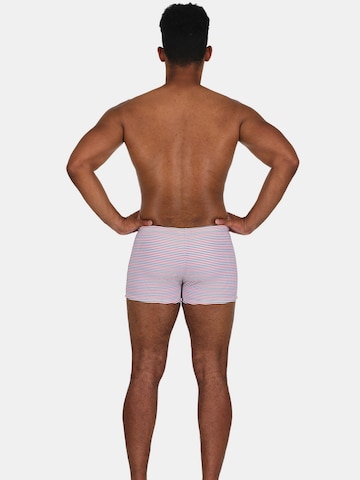 wavebreaker Zwemshorts in Gemengde kleuren
