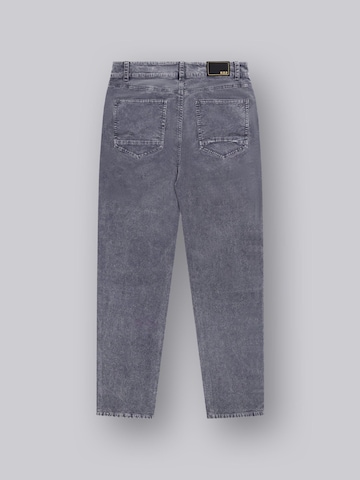 Regular Jean M.O.D MIRACLE OF DENIM en gris