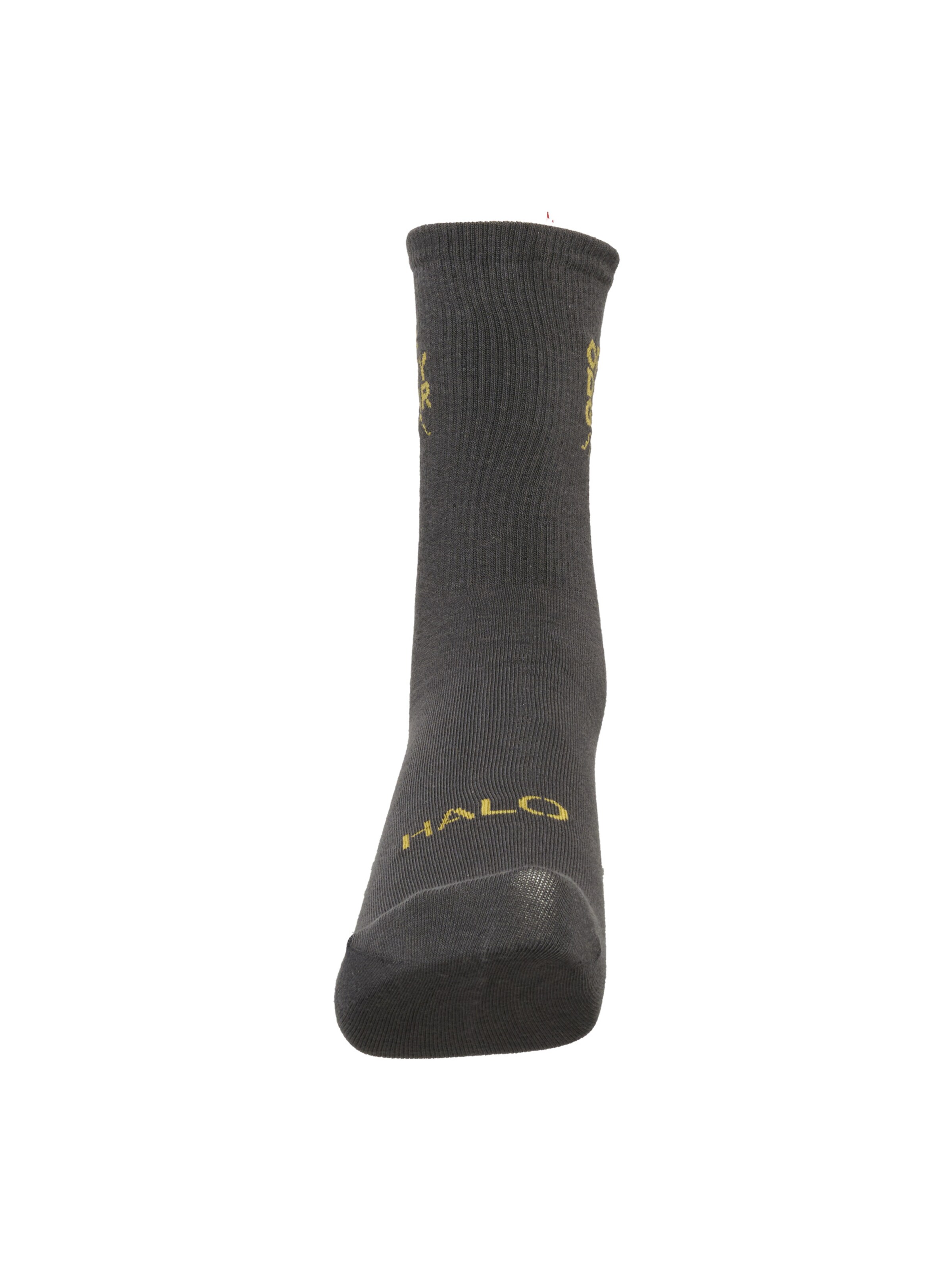 HALO Socks in Grey