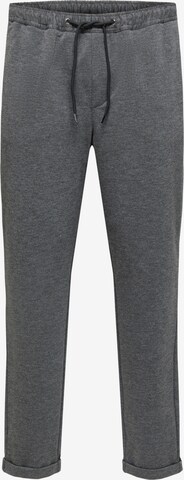 SELECTED HOMME - Tapered Pantalón 'SELBY' en gris: frente