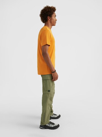 O'NEILL Wide leg Cargo Pants 'Navstar' in Green