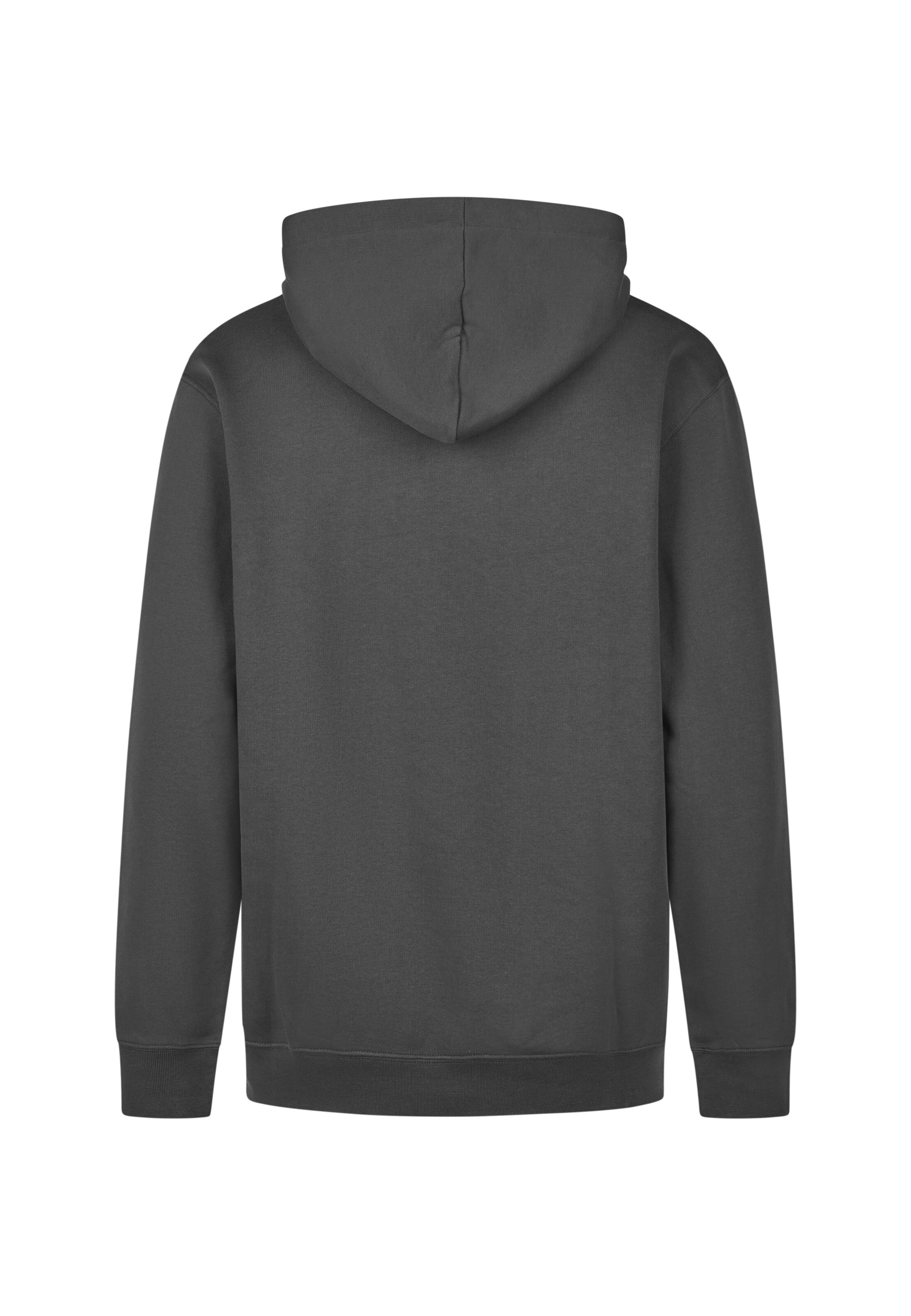 Cleptomanicx Sweatshirt 'Hooded Ligull Classic' in Grey