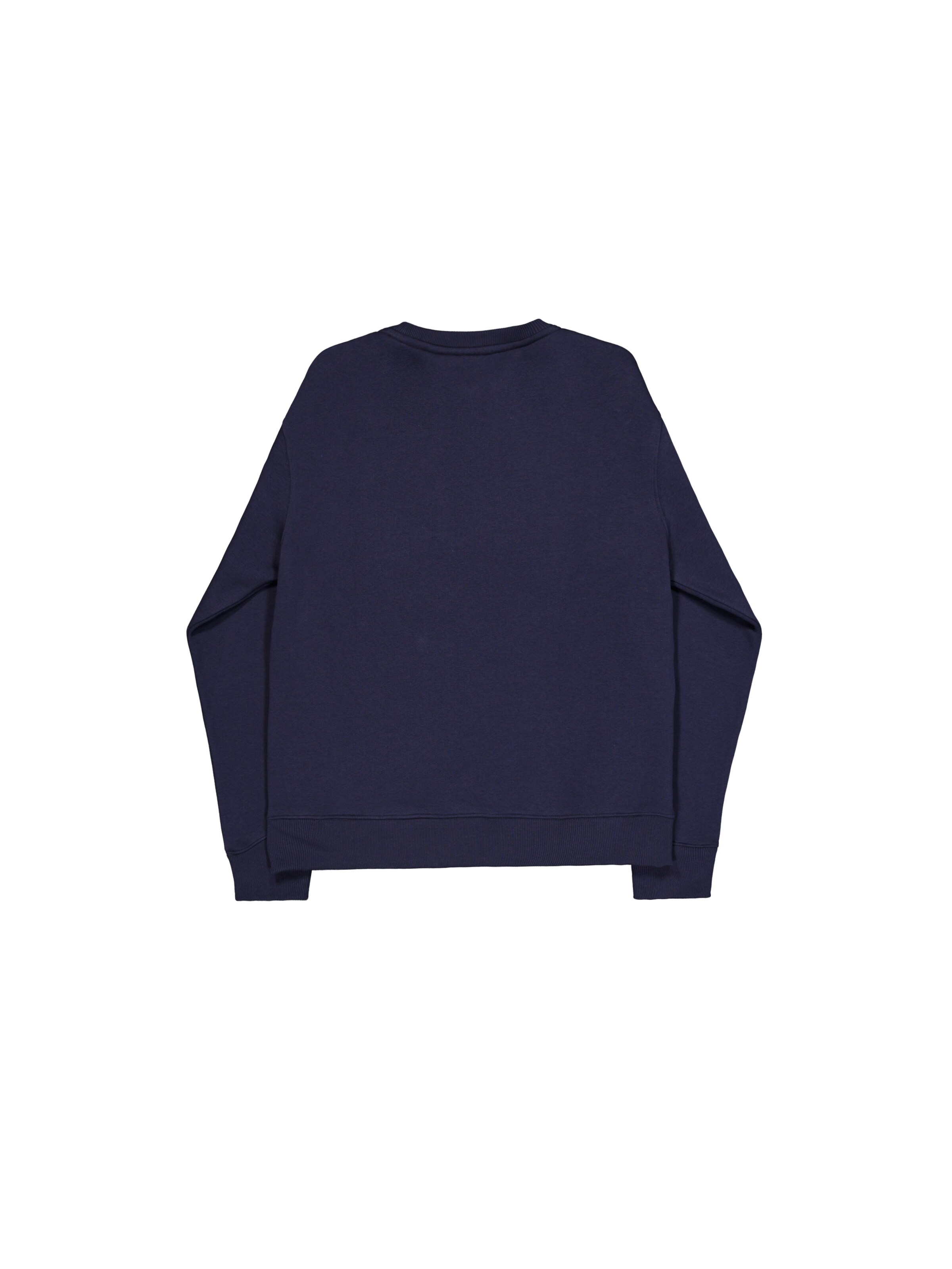 ALPHA INDUSTRIES Sweatshirt in Blau: Rückseite