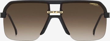 Carrera Sunglasses in Brown: front