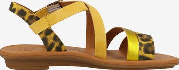 Paul Green Strap Sandals in Yellow