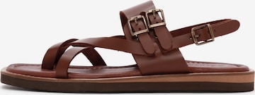 Infradito di Derimod in marrone: frontale