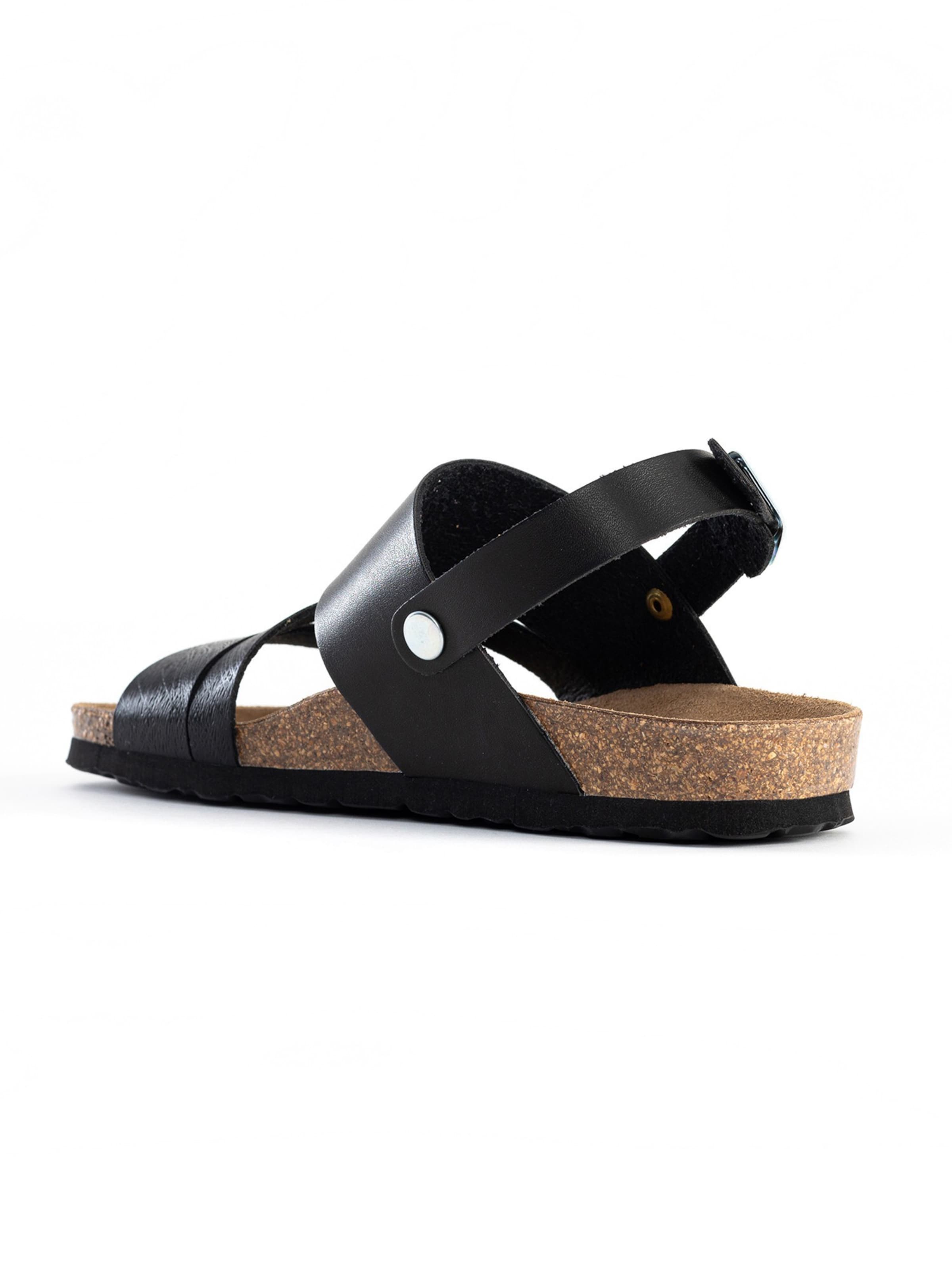 Bayton Rihmik 'Vitoria', värv hall