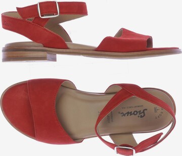 SIOUX Sandals & High-Heeled Sandals in 39 in Red: front