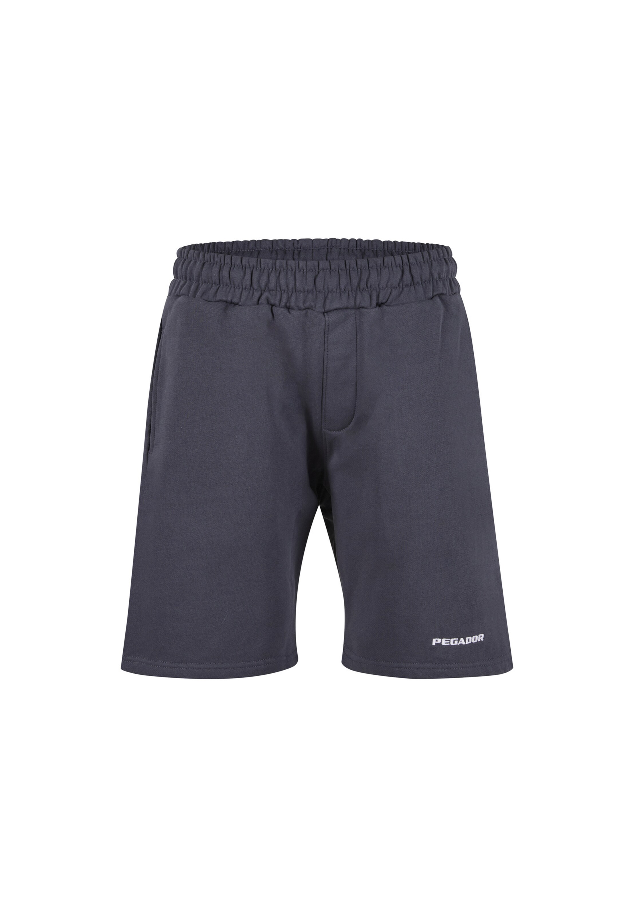 Pegador Shorts in Blau: Vorderseite