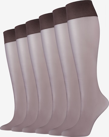 camano Fine Stockings in Brown: front