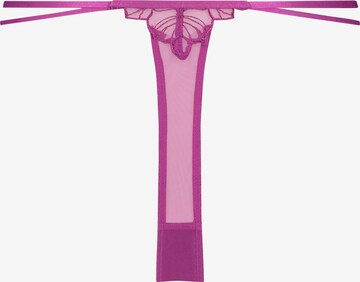 Hunkemöller Thong 'Constance' in Purple