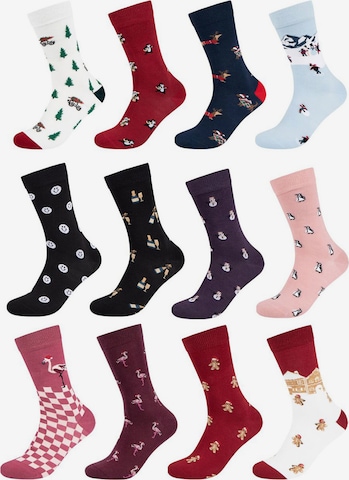 FUN Socks Sokken 'Adventskalender' in Gemengde kleuren: voorkant