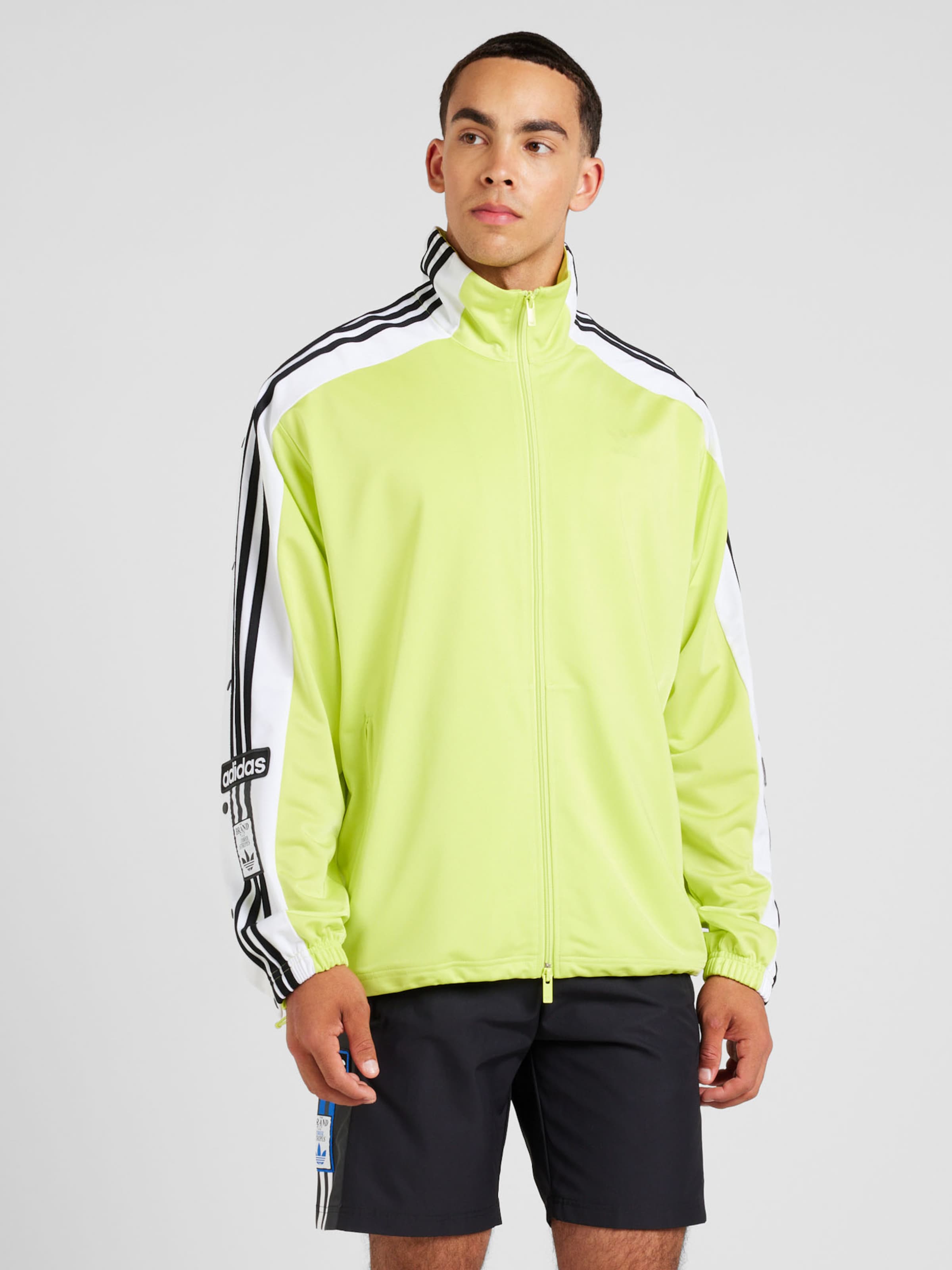 ADIDAS ORIGINALS Between season jacket Megabreak in Limone ABOUT YOU