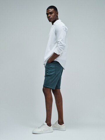 Salsa Jeans Regular Shorts Regular in Grün