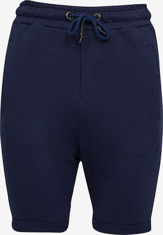 Leif Nelson Pants 'LN-8316' in Blue: front