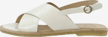 Ca'Shott Sandaalit 'Gitta' värissä valkoinen: etupuoli