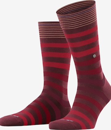 BURLINGTON Socken 'Blackpool' in Orange: Vorderseite