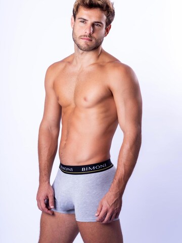 BIMONI Boxershorts in Grau