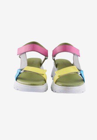 D.MoRo Shoes Sandals 'Rebalta' in Mixed colors