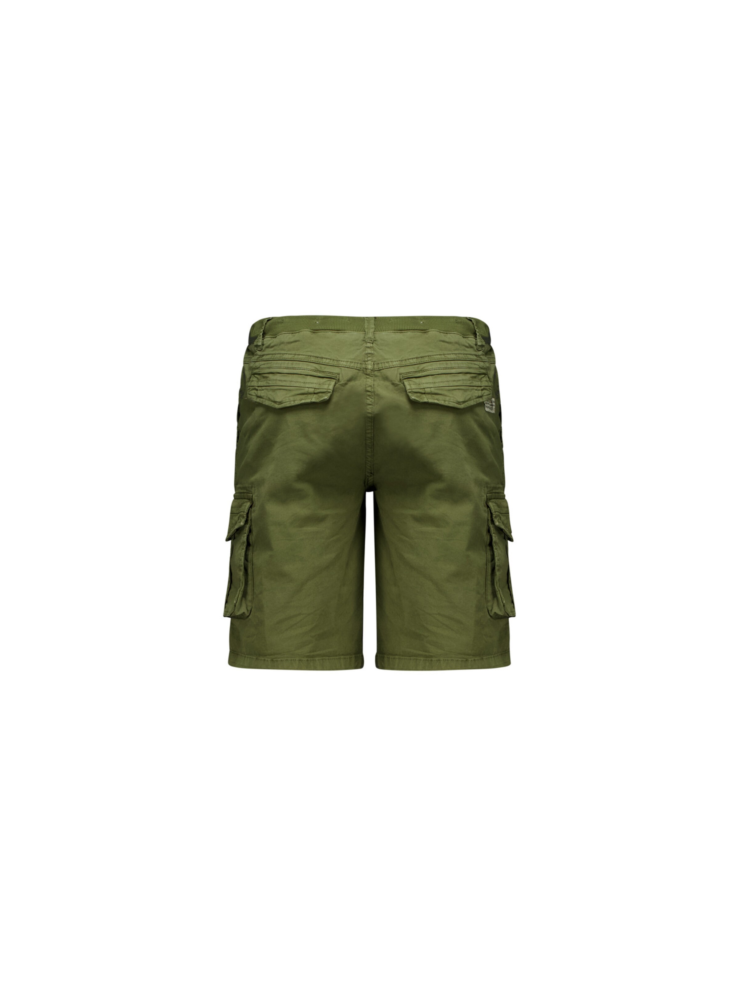 Regular Pantalon cargo 'BASIMI' Deeluxe en vert