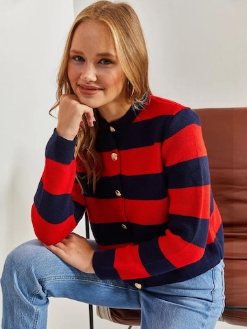 Bianco Lucci Gebreid vest in Rood