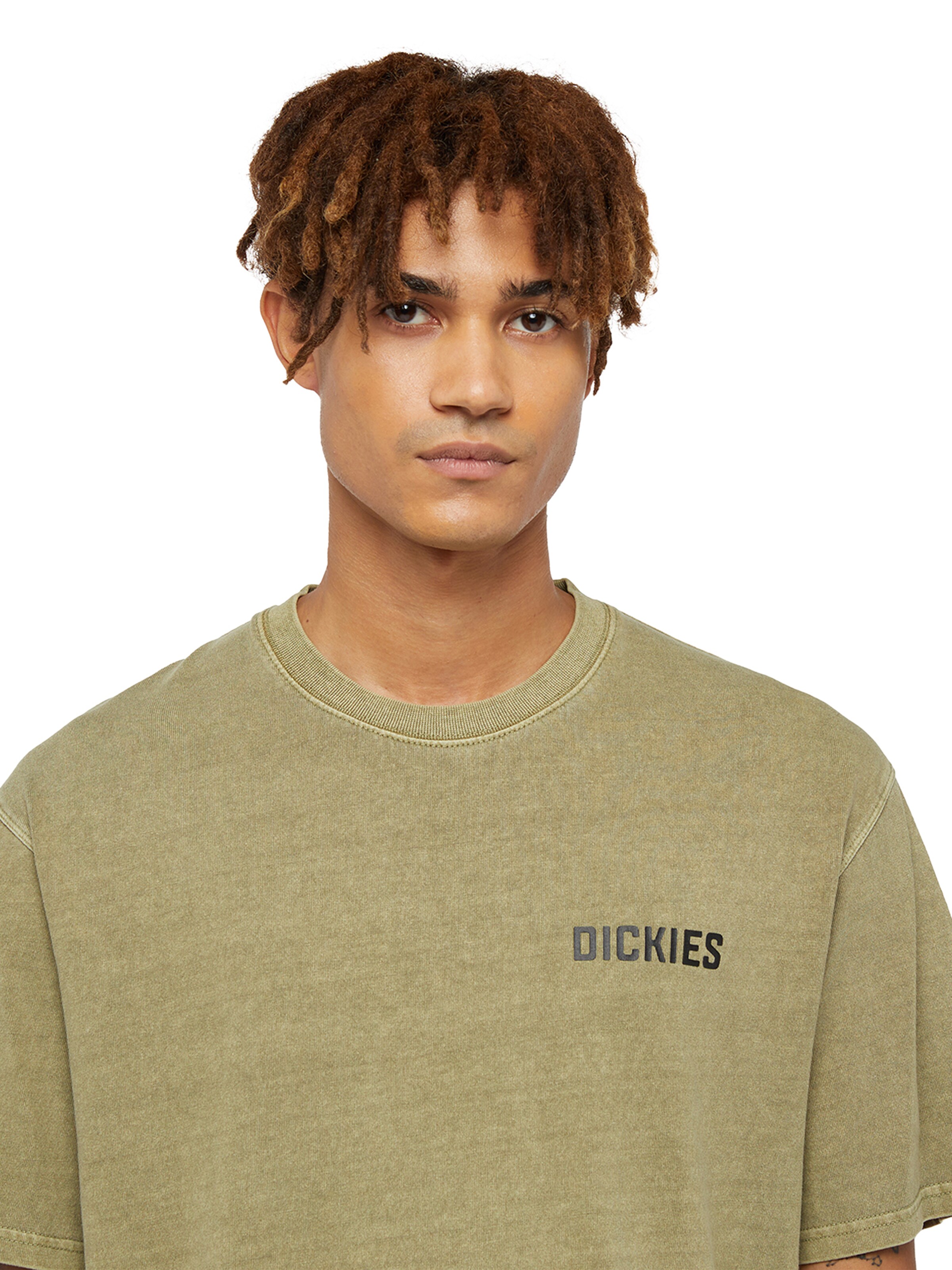 DICKIES Bluser & t-shirts 'HIGH FLYING WORKWEAR' i beige