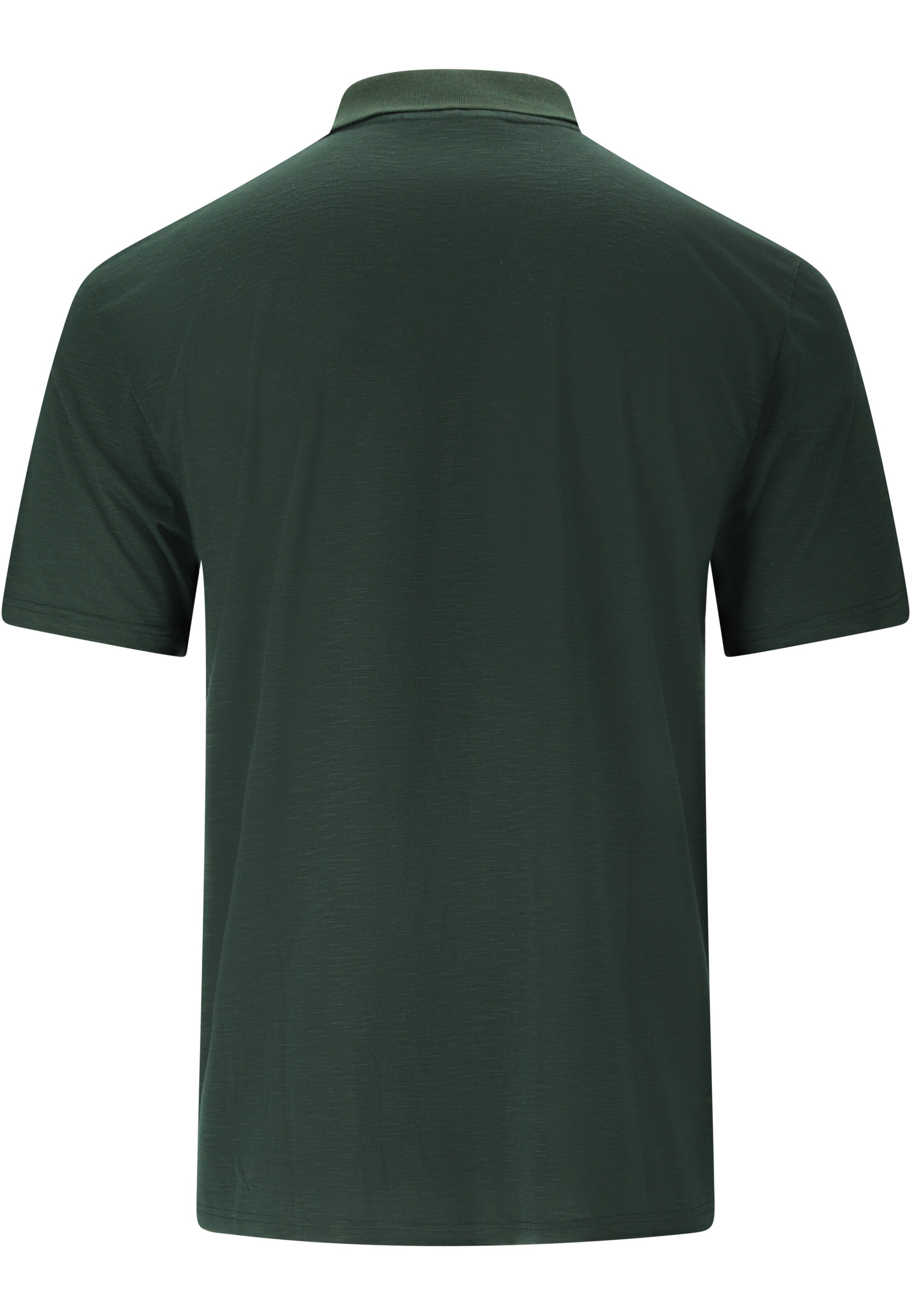 Whistler Functioneel shirt 'Vale' in Groen
