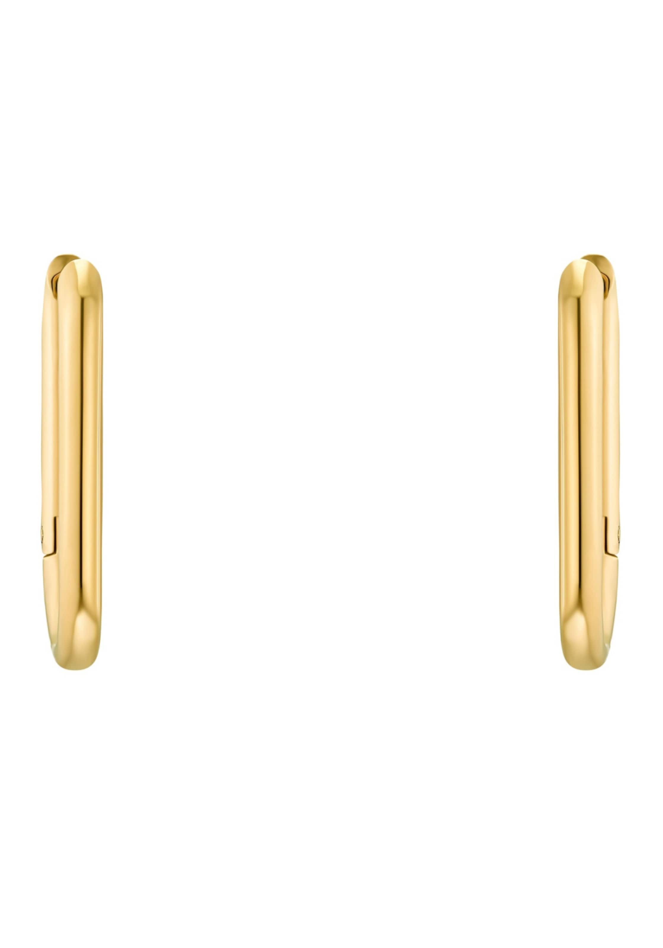 s.Oliver Earrings in Gold: front