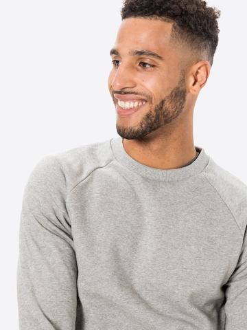 Degree Regular Fit Sweatshirt 'Classic' i grå
