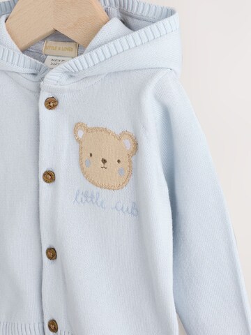 Next Gebreid vest in Blauw