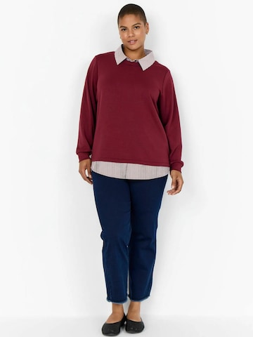 Wasabi Concept Pullover i rød