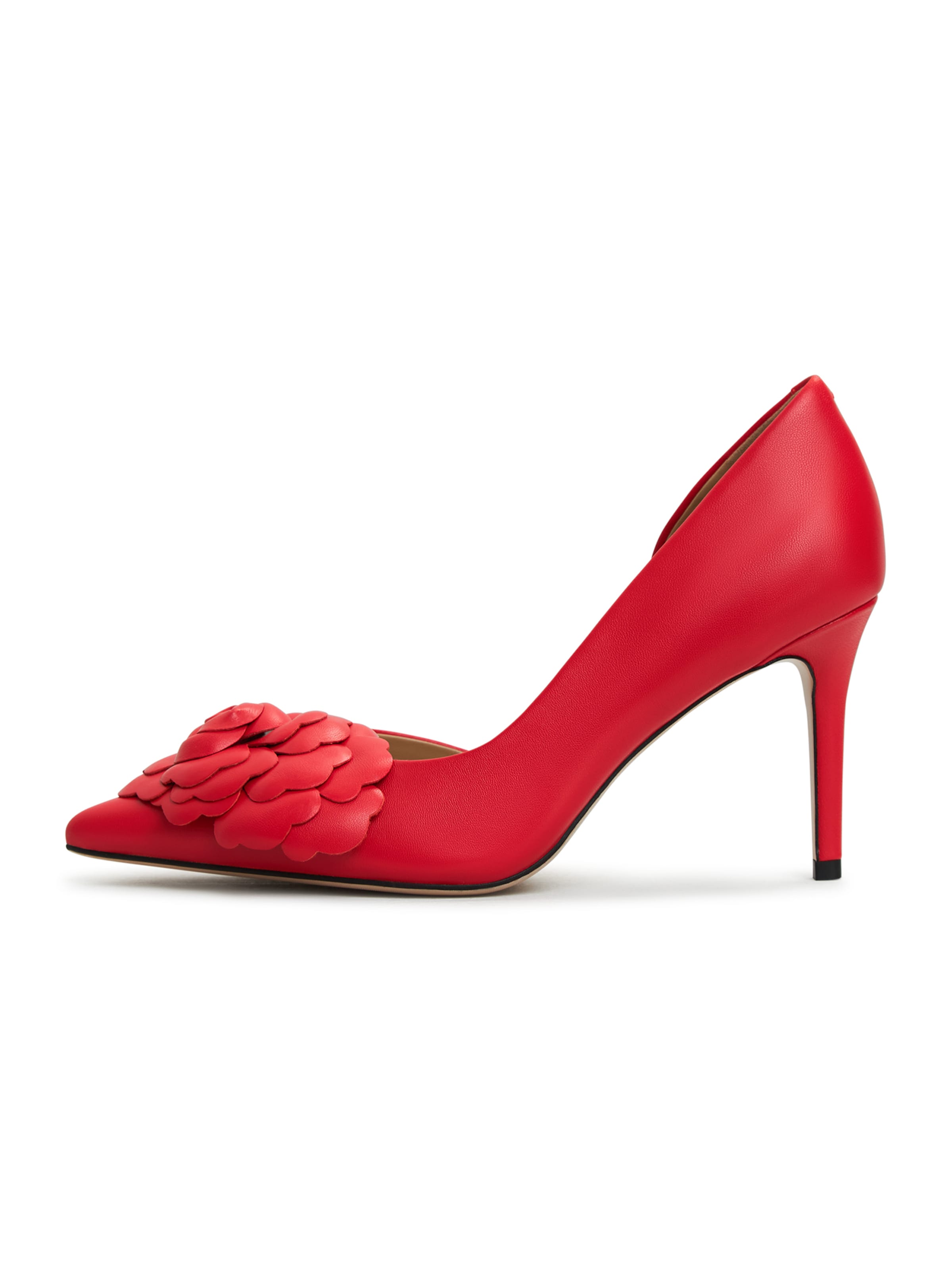 CESARE GASPARI Pumps in Rood: voorkant