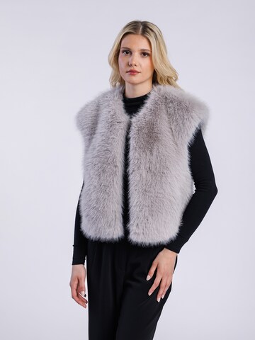 FREAKY NATION Bodywarmer in Grijs: voorkant