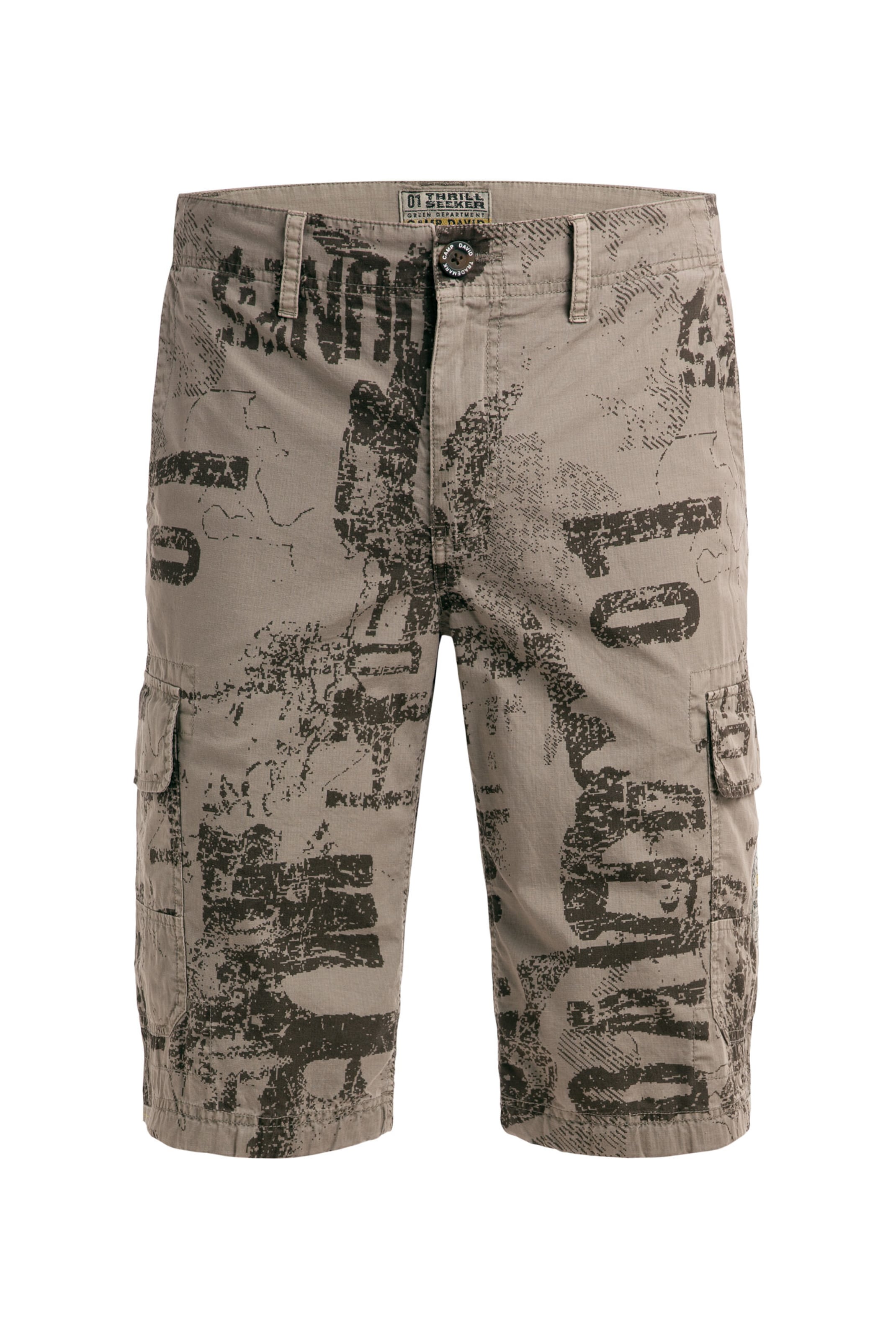 CAMP DAVID Regular Cargo Pants in Brown: front