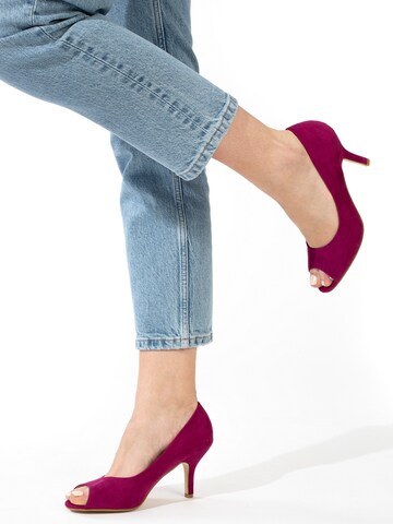 Celena Pumps 'Cecilia' in Purple: front