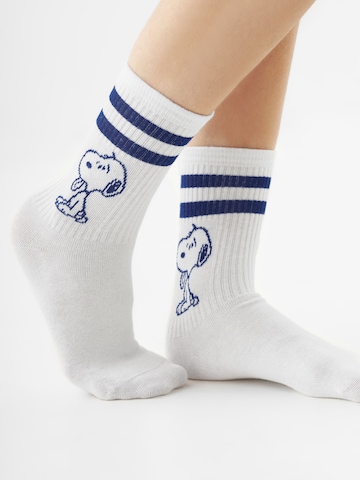CODELLO Socks in Blue: front