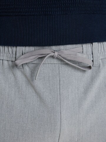 Regular Pantalon chino 'Stone Dual' CHASIN' en gris