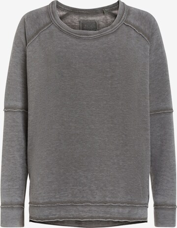 Daily’s Sweatshirt in Grau: predná strana