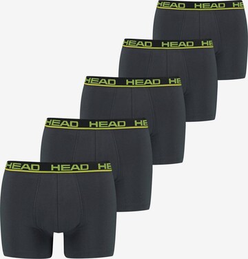 HEAD Boxer shorts in Grey: front