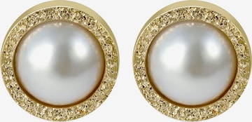 Akzent Earrings 'Edelstahl, langlebig' in Gold: front