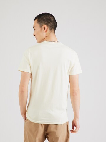 Maglietta di HOLLISTER in marrone