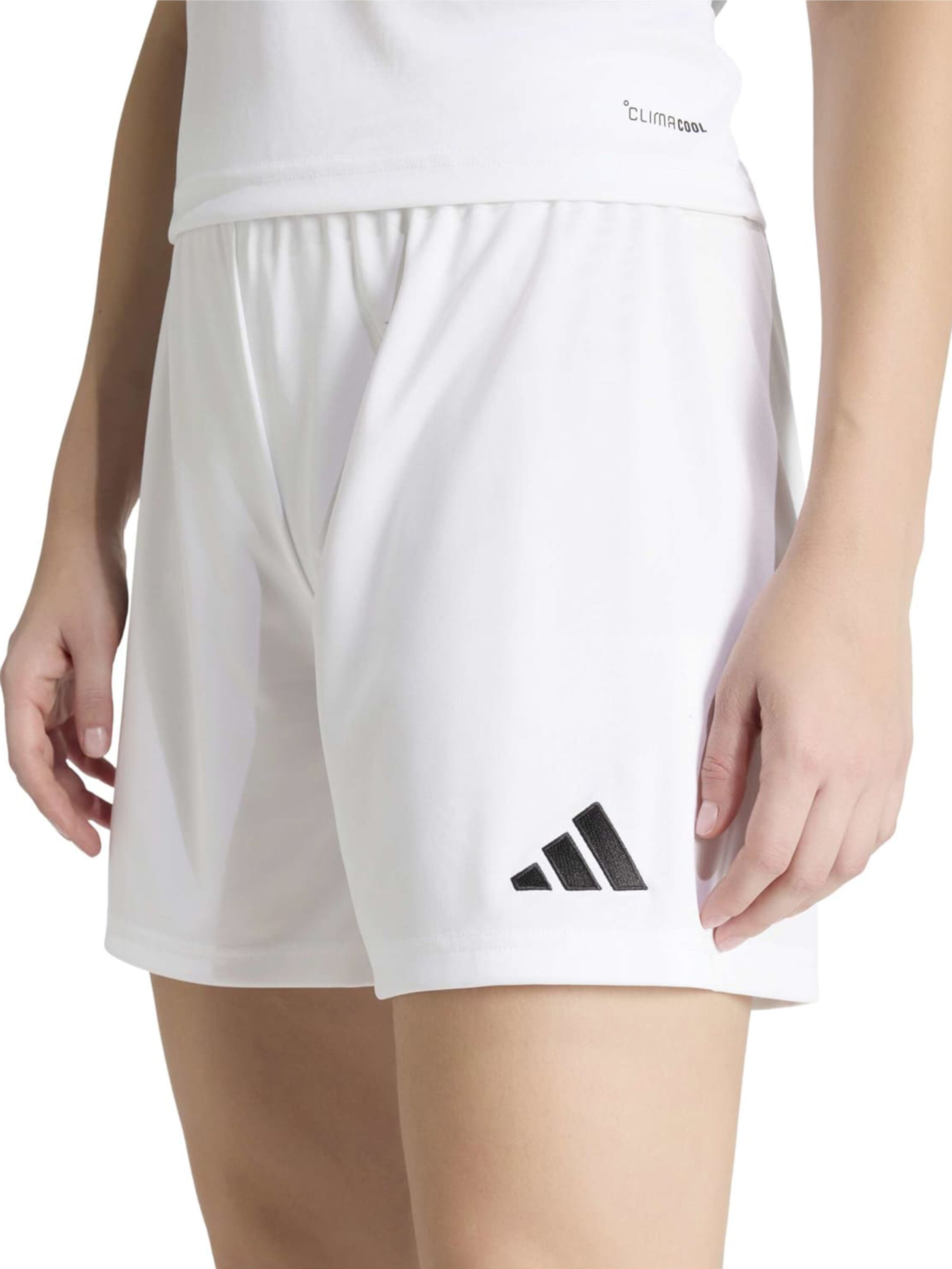 ADIDAS PERFORMANCE Regular Sports trousers 'ENT26' in White