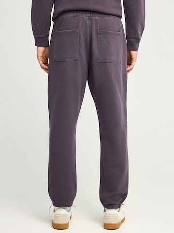 Funky Buddha Tapered Hose in Lila