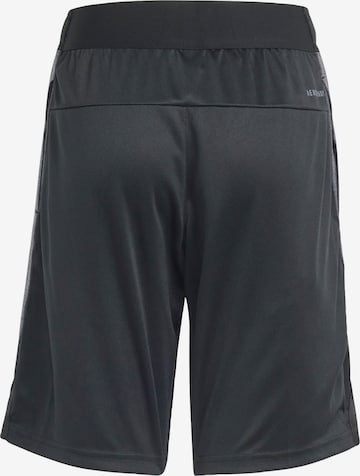 ADIDAS SPORTSWEAR Regular Sportbroek in Zwart