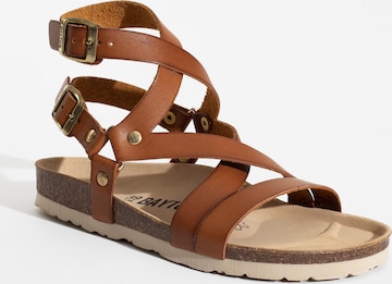 Bayton Sandal 'Armidale' i brun